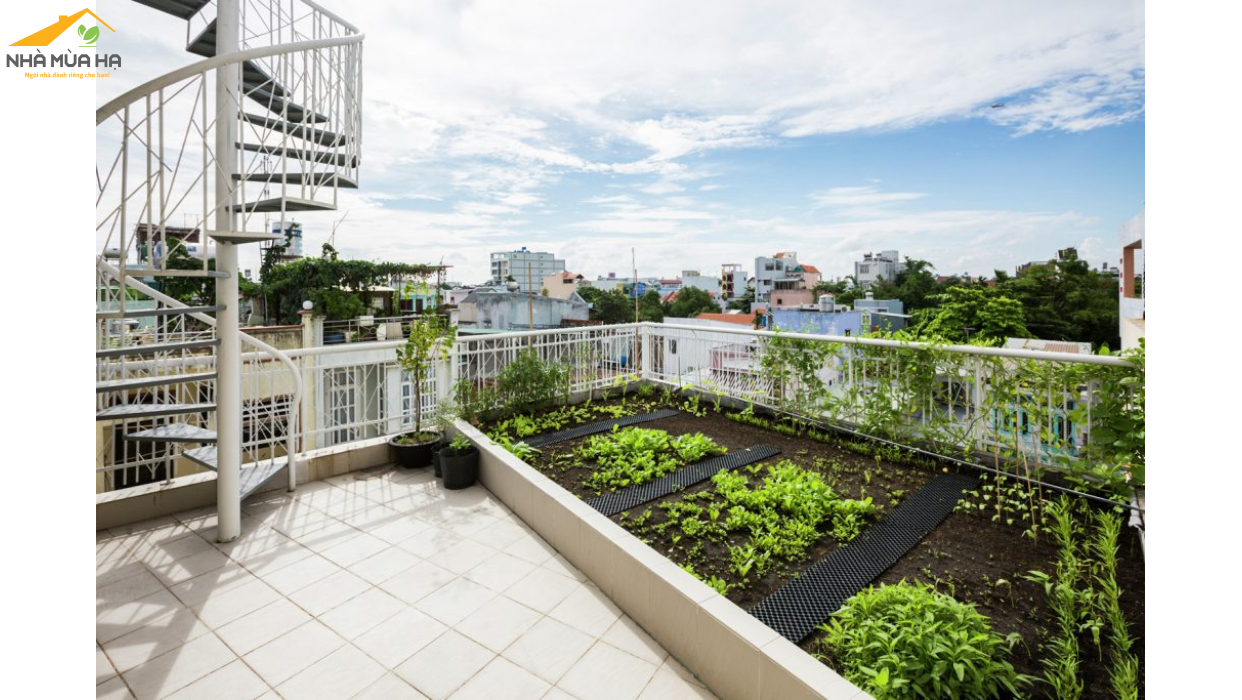Breeze House  ngôi nhà với lối kiến trúc modernist ở Tân Phú