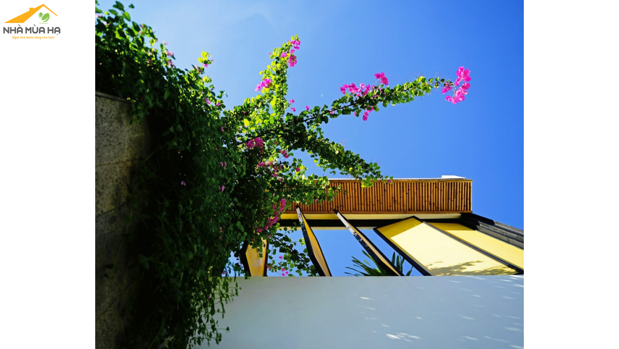 Hoa’s House   không gian kiến trúc ngập tràn xúc cảm